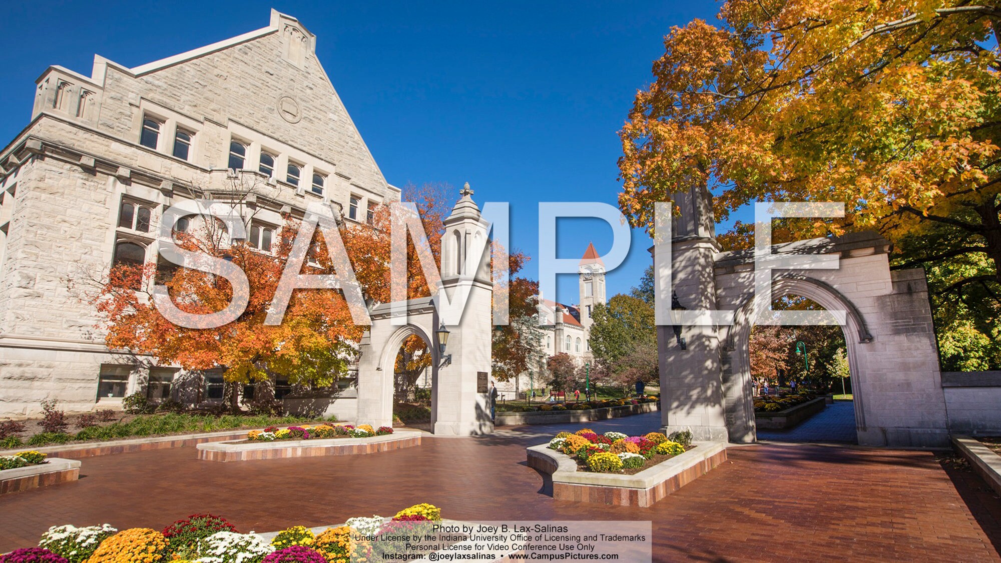 Indiana University DIGITAL PHOTO DOWNLOAD - 5 Images of the Sample ...