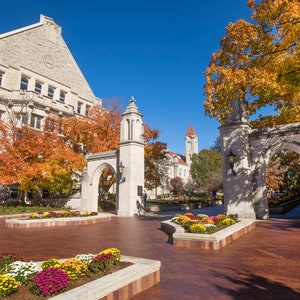 Indiana University - Photograph - Sample Gates Orange Fall Leaves - 8x10 and 8.5x11 - Great for Diploma Frame! Collegiate Licensed Product
