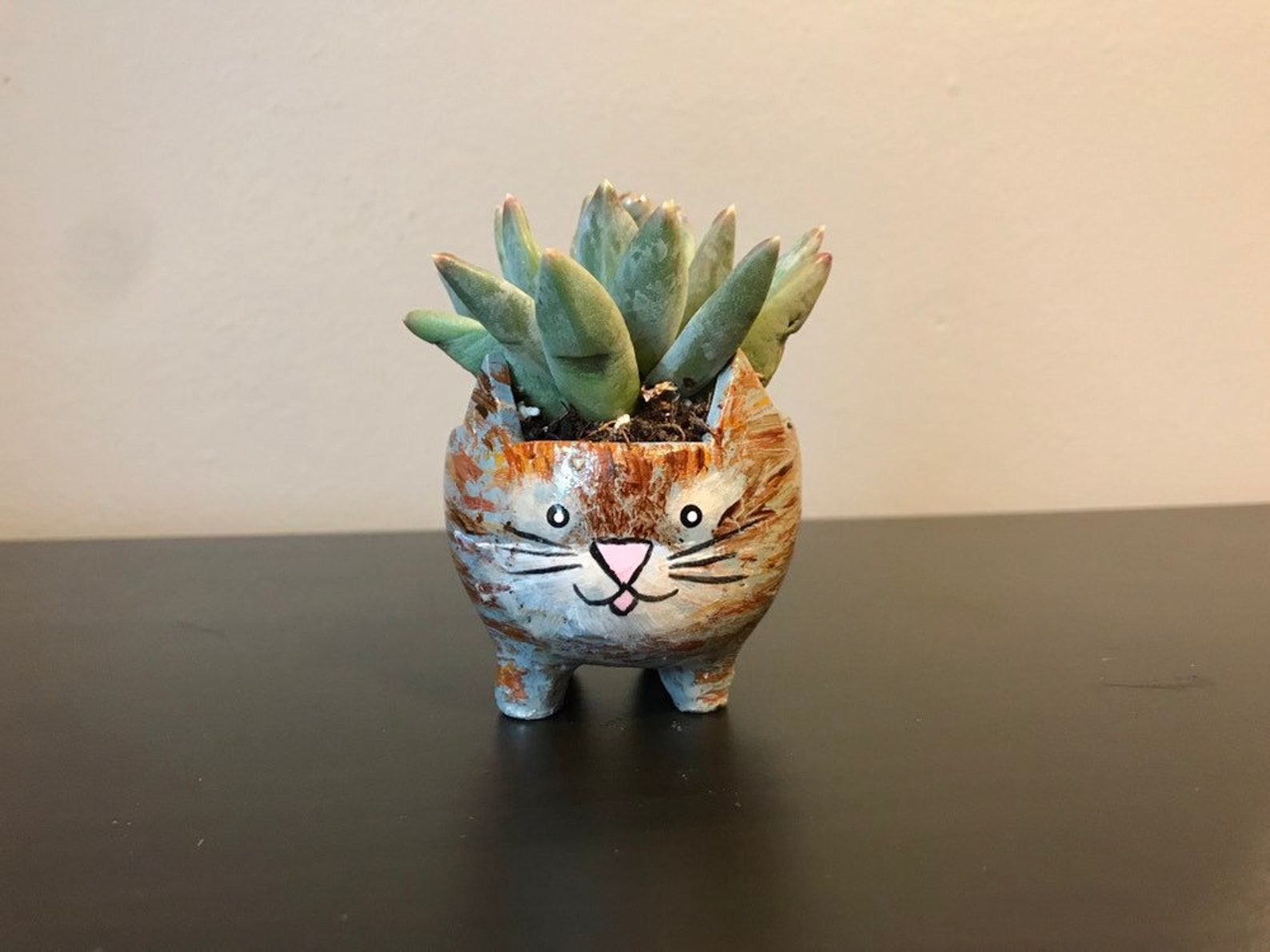 Cat succulent pots Succulent or air plant included custom Etsy