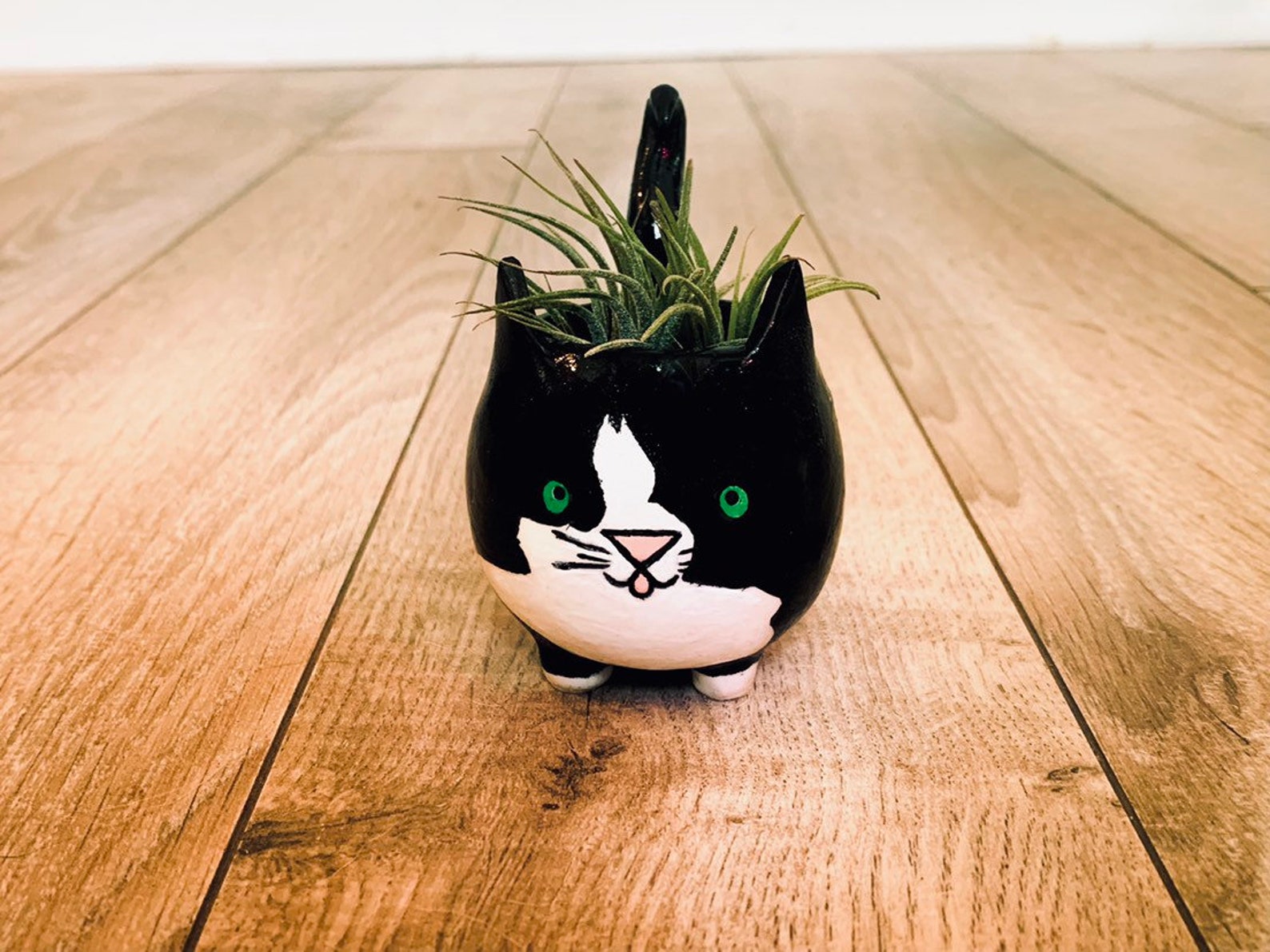 Cat succulent pots Succulent or air plant included custom Etsy