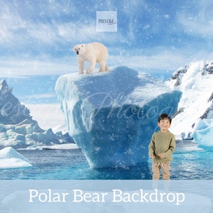 Winter Polar Bear Backdrop, December Background, Christmas Backdrop, Winter Background, Snow Backdrop, Animal Backdrop, Digital Download