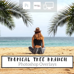 25 Realistic Tropical Tree Branch Photoshop Overlays - Transparent PNG, photoshop, overlays, easy to use, DIGITAL DOWNLOAD