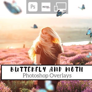 Realistic Butterfly & Moth Photo Overlays: 70 Transparent PNG (Digital Download)