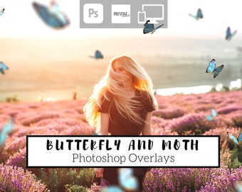 70 Realistic Butterfly And Moth Photoshop Overlays - Transparent PNG, photoshop, overlays, easy to use, DIGITAL DOWNLOAD