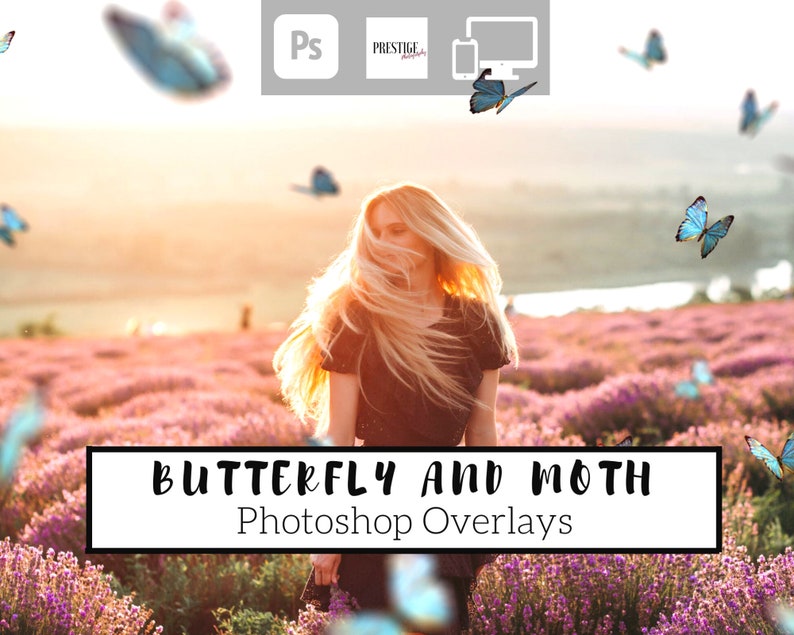 70 realistische vlinder en nachtvlinder Photoshop-overlays transparante PNG, photoshop, overlays, gemakkelijk te gebruiken, DIGITALE DOWNLOAD afbeelding 1