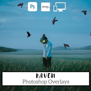 May include: A man stands in a field with a spotlight on his head, looking up at a flock of black ravens flying in a blue sky. The text "RAVEN Photoshop Overlays" is at the bottom of the image.