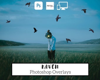 30 Realistic Raven Photoshop Overlays - Transparent PNG, bird overlays, easy to use, DIGITAL DOWNLOAD