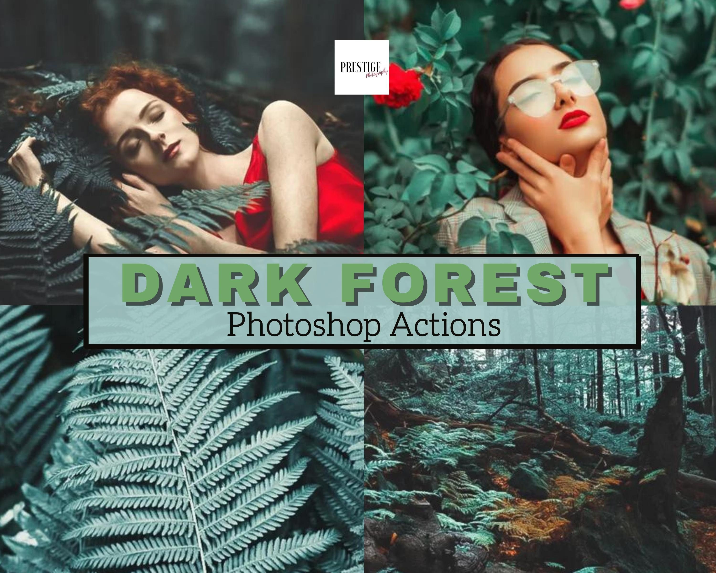 3 Pro Dark Forest Photoshop Actions Landscape Actions, Jungle