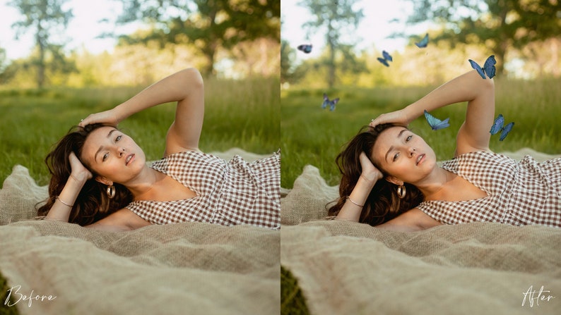 70 superposiciones realistas de Photoshop de mariposas y polillas: PNG transparente, photoshop, superposiciones, fácil de usar, DESCARGA DIGITAL imagen 6