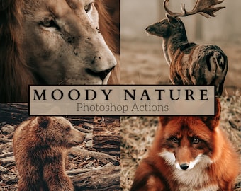 10 Moody Nature Photoshop Actions - Great For Animals, Wildlife, Travel, Outdoors, Landscape, Instagram, Pets - Rustic Actions, Fall Actions