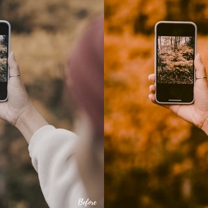 May include: A person holding a smartphone, taking a photo of a forest scene. The photo on the screen shows a path through the trees with fall foliage in shades of brown, yellow, and green.