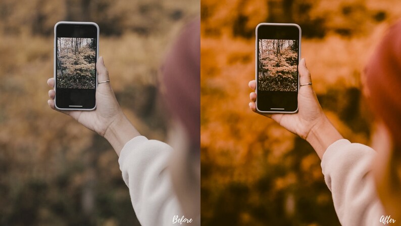 May include: A person holding a smartphone, taking a photo of a forest scene. The photo on the screen shows a path through the trees with fall foliage in shades of brown, yellow, and green.