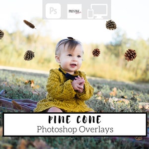 Puede incluir: Una niña pequeña con un vestido de suéter amarillo se sienta en una manta con piñas esparcidas a su alrededor. La imagen está etiquetada como "Pine Cone Photoshop Overlays".
