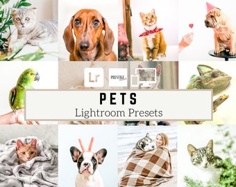 20 huisdieren mobiel/desktop Lightroom-presets - dieren, kattenpresets, hondpresets, heldere presets, schone presets, familiepresets, DNG-presets