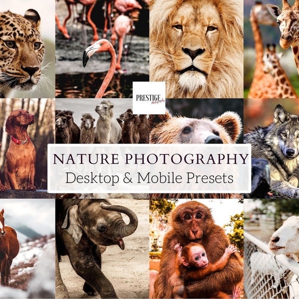 27 Nature Photography Mobile/Desktop Lightroom Presets - Animals, Outdoors, Wildlife, Wild Animals, Travel, DNG Presets