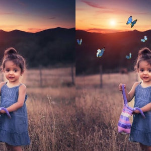 70 superposiciones realistas de Photoshop de mariposas y polillas: PNG transparente, photoshop, superposiciones, fácil de usar, DESCARGA DIGITAL imagen 3