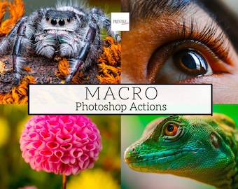 15 Pro Macro Photoshop Actions - Detail Actions, Close Up Actions, Wildlife Actions, Portrait Actions, Nature Actions, Animal Actions