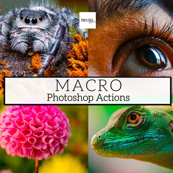 15 actions Pro Macro Photoshop - Actions de détail, Actions de gros plan, Actions de la faune, Actions de portrait, Actions de la nature, Actions des animaux