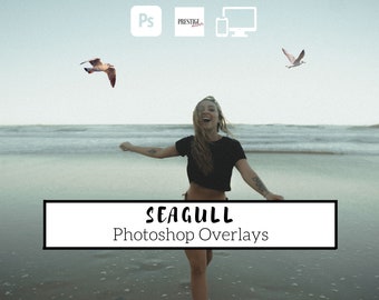 50 Realistic Seagull Photoshop Overlays - Transparent PNG, photoshop, overlays, easy to use, DIGITAL DOWNLOAD