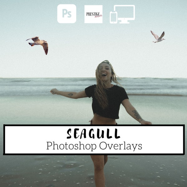 50 Realistic Seagull Photoshop Overlays - Transparent PNG, photoshop, overlays, easy to use, DIGITAL DOWNLOAD