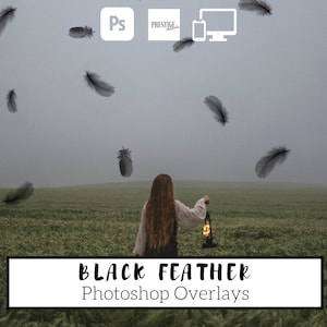 25 Realistic Black Feather Photoshop Overlays - Transparent PNG, photoshop, overlays, easy to use, DIGITAL DOWNLOAD