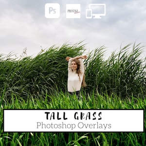 Realistic Tall Grass Photoshop Overlays: 30 Transparent PNG (Digital Download)