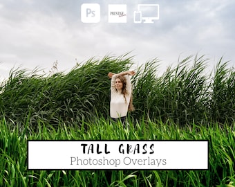 Realistic Tall Grass Photoshop Overlays: 30 Transparent PNG (Digital Download)