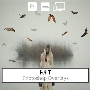 20 Realistic Bat Photoshop Overlays - Transparent PNG, photoshop, overlays, easy to use, DIGITAL DOWNLOAD