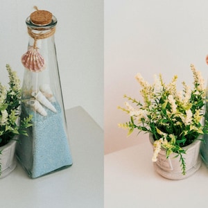 Puede incluir: Una botella de vidrio decorativa con tap&oacute;n de corcho, llena de arena azul y conchas marinas, est&aacute; adornada con una concha colgante. Una peque&ntilde;a planta en maceta con flores blancas se encuentra al lado.