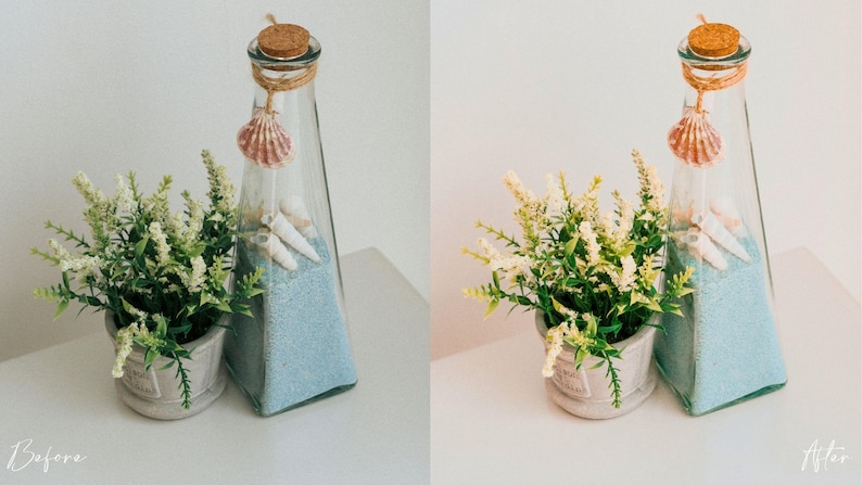 Puede incluir: Una botella de vidrio decorativa con tap&oacute;n de corcho, llena de arena azul y conchas marinas, est&aacute; adornada con una concha colgante. Una peque&ntilde;a planta en maceta con flores blancas se encuentra al lado.