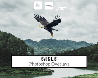 20 realistische Eagle Photoshop-overlays - transparante PNG, Photoshop, overlays, gemakkelijk te gebruiken, DIGITALE DOWNLOAD
