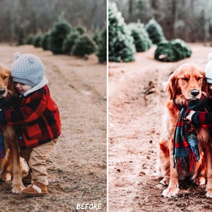 May include: A young child wearing a red and black plaid jacket and a blue knit hat hugs a golden retriever dog wearing a blue and red plaid scarf. The dog and child are standing on a dirt path in a field of pine trees.