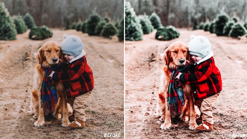 May include: A young child wearing a red and black plaid jacket and a blue knit hat hugs a golden retriever dog wearing a blue and red plaid scarf. The dog and child are standing on a dirt path in a field of pine trees.