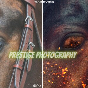 May include: Close-up of a brown horse's eye with a fiery reflection. The horse is wearing a brown leather bridle. The text "WARHORSE" is visible above the horse's head. The text "PRESTIGE PHOTOGRAPHY" is visible below the horse's eye. The image is split into two sections, "Before" and "After", showing the effect of a photo edit.