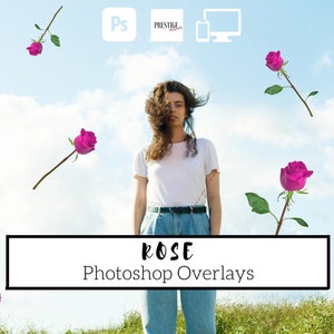 24 superposiciones de Photoshop de rosas: PNG transparente, Photoshop, superposiciones, fácil de usar, DESCARGA DIGITAL