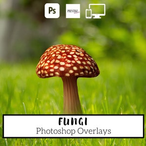 Realistic Fungi Photoshop Overlays: 27 Transparent PNG (Digital Download)