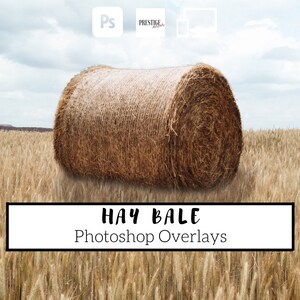 Realistic Hay Bale Photoshop Overlays: Farm Photo Effects (Digital Download)