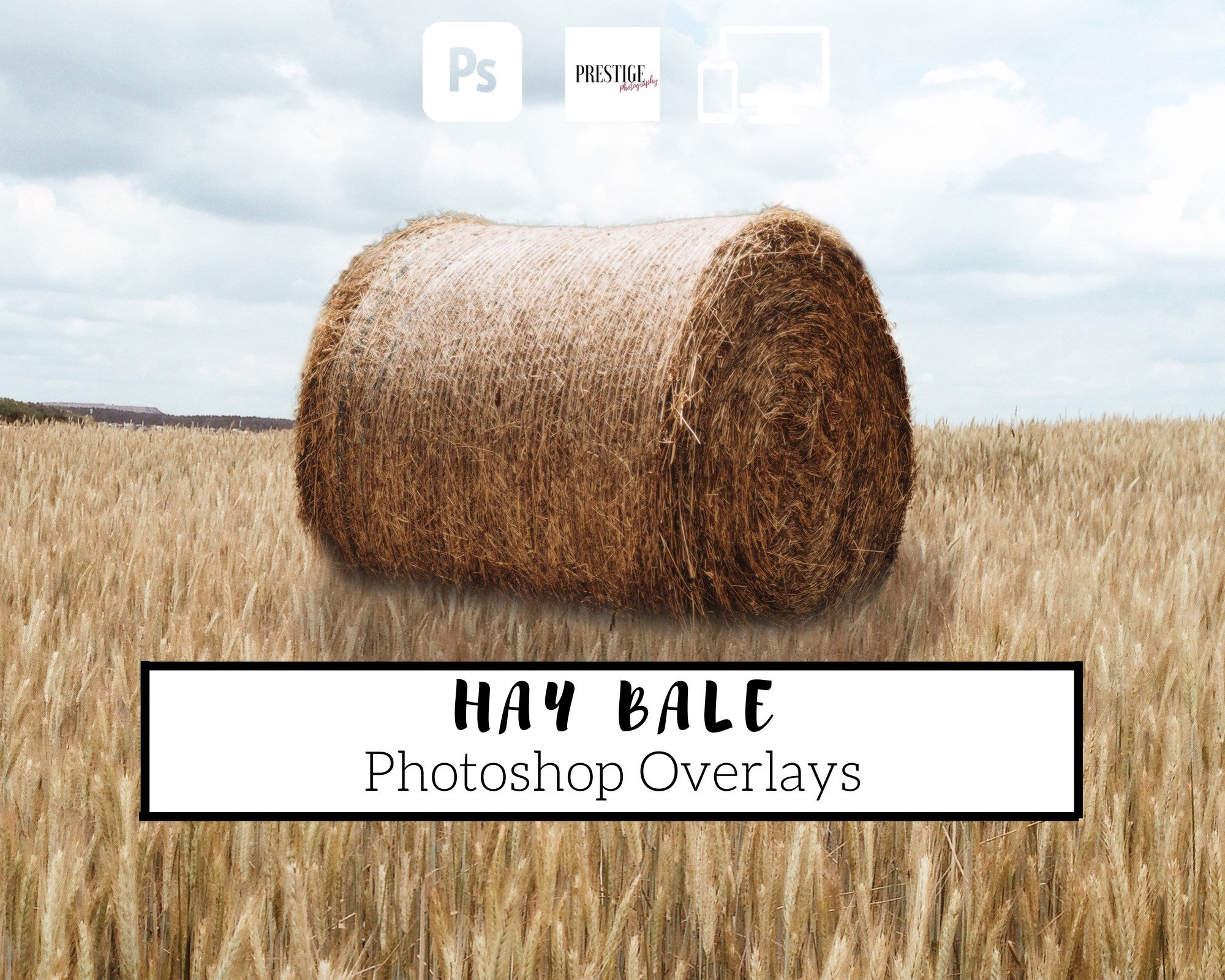 5 Realistic Hay Bale Overlays Transparent PNG Etsy