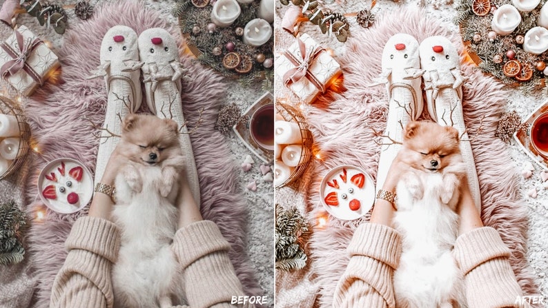 May include: A small white dog with brown eyes is sleeping on a person's lap. The person is wearing white reindeer slippers and a beige sweater. The background is a pink fuzzy rug with Christmas decorations.