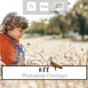 20 Realistic Bee Photoshop Overlays - Transparent PNG, photoshop, overlays, easy to use, DIGITAL DOWNLOAD