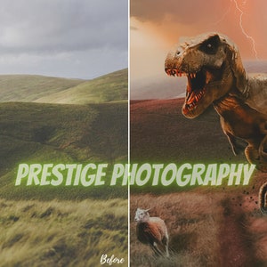 Photoshop Editing, Editing Service, Manipulation, Composite, Professional Photo Retouching image 4