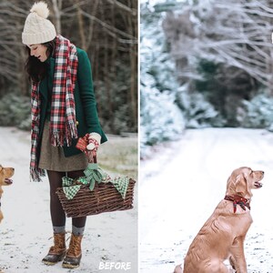 May include: A woman in a green coat, red and white plaid scarf, and white knit hat stands in a snowy forest with a golden retriever dog. She is holding a wicker basket with a green and white checkered cloth.