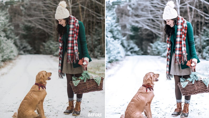 May include: A woman in a green coat, red and white plaid scarf, and white knit hat stands in a snowy forest with a golden retriever dog. She is holding a wicker basket with a green and white checkered cloth.