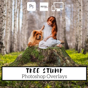 May include: A girl and a dog sitting on a mossy tree stump in a birch forest. The image is a Photoshop overlay for use in digital design.