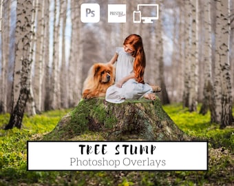 Realistic Tree Stump Photoshop Overlays: Transparent PNG (Digital Download)