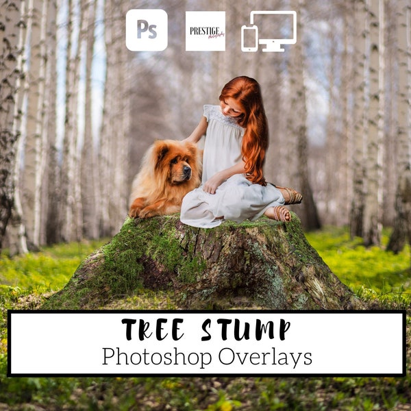 10 Realistic Tree Stump Photoshop Overlays - Transparent PNG, photoshop, overlays, easy to use, DIGITAL DOWNLOAD