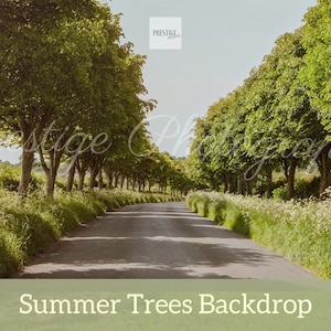 Summer Trees Digital Backdrop: Child Photography (JPG)