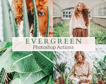5 acciones profesionales de Photoshop Evergreen: acciones terrestres, acciones al aire libre, acciones ecológicas, acciones de Instagram, acciones de la naturaleza, acciones brillantes