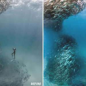 May include: A diver swims through a large school of fish in the ocean. The fish are silver and blue and form a swirling mass. The diver is wearing a black wetsuit and a black mask. The water is clear and blue.