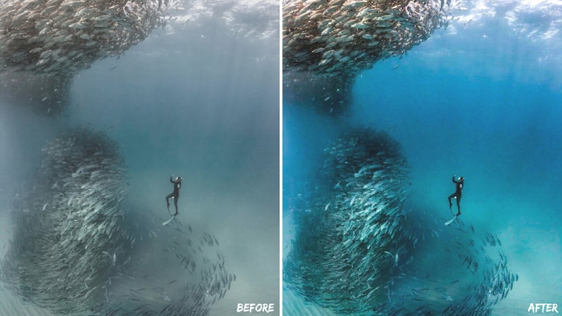 May include: A diver swims through a large school of fish in the ocean. The fish are silver and blue and form a swirling mass. The diver is wearing a black wetsuit and a black mask. The water is clear and blue.